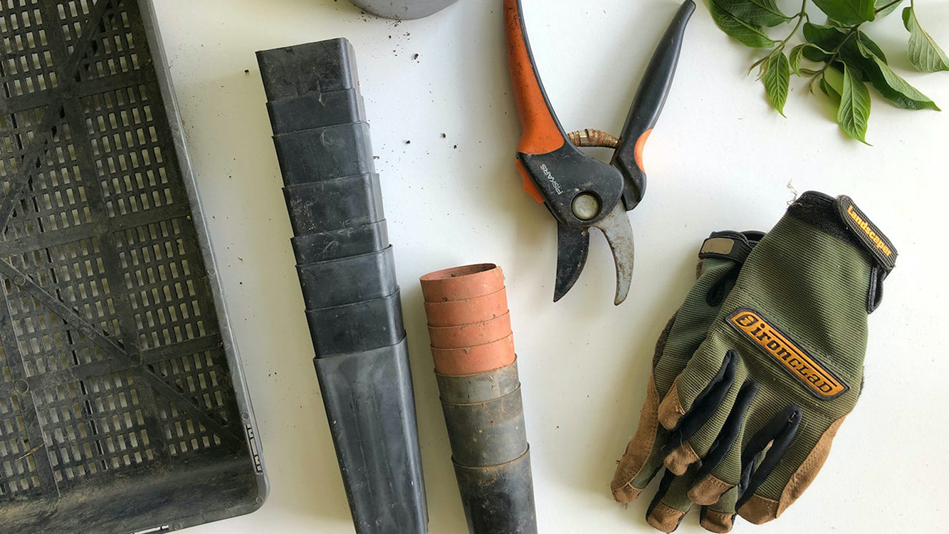 How to Build Your Own Raised Garden Bed Gumtree Lifestyle