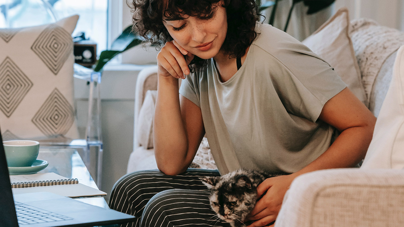 Everything You Should Know About Online Pet Sellers