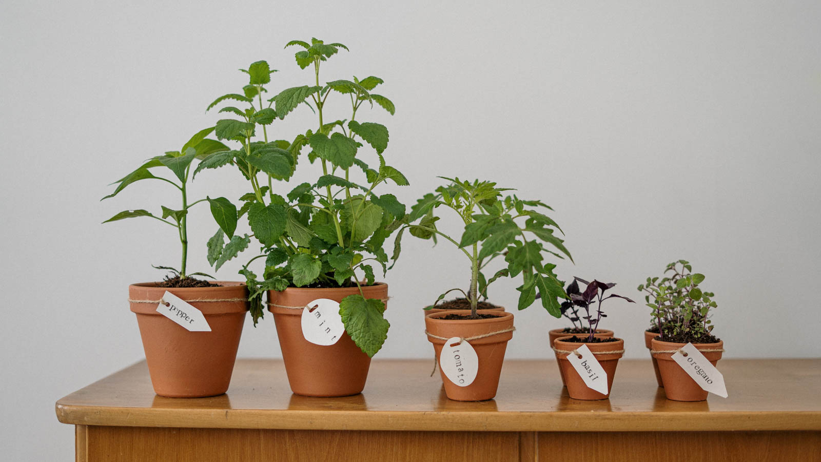 Plastic-free sustainable kitchen storage ideas