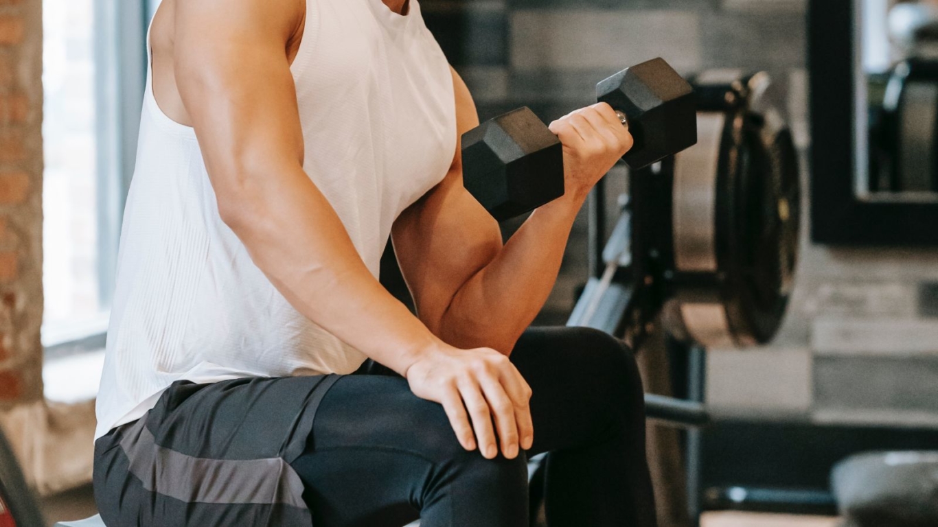 Fitness & Gym Equipment Guides Gumtree Lifestyle