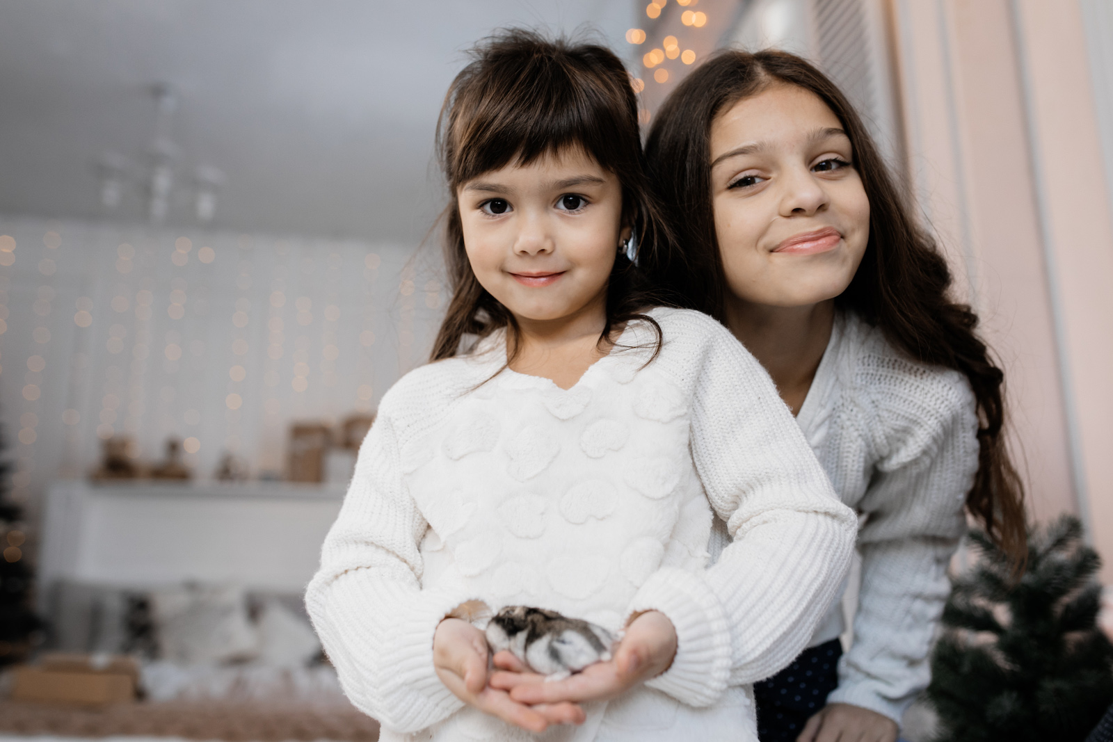 Illustrative image of child holding small furry pets.